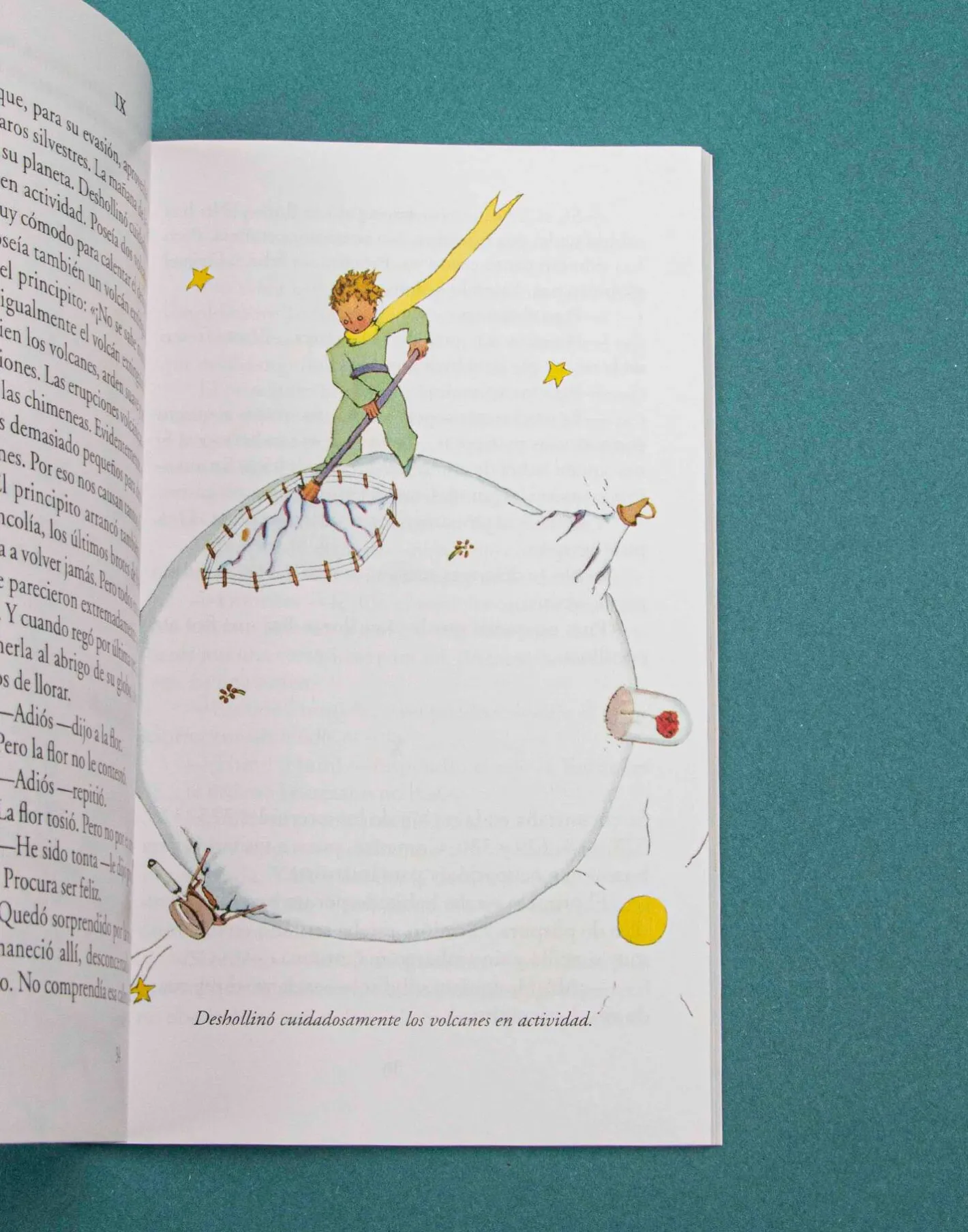 Natura Selection Libros^El Principito