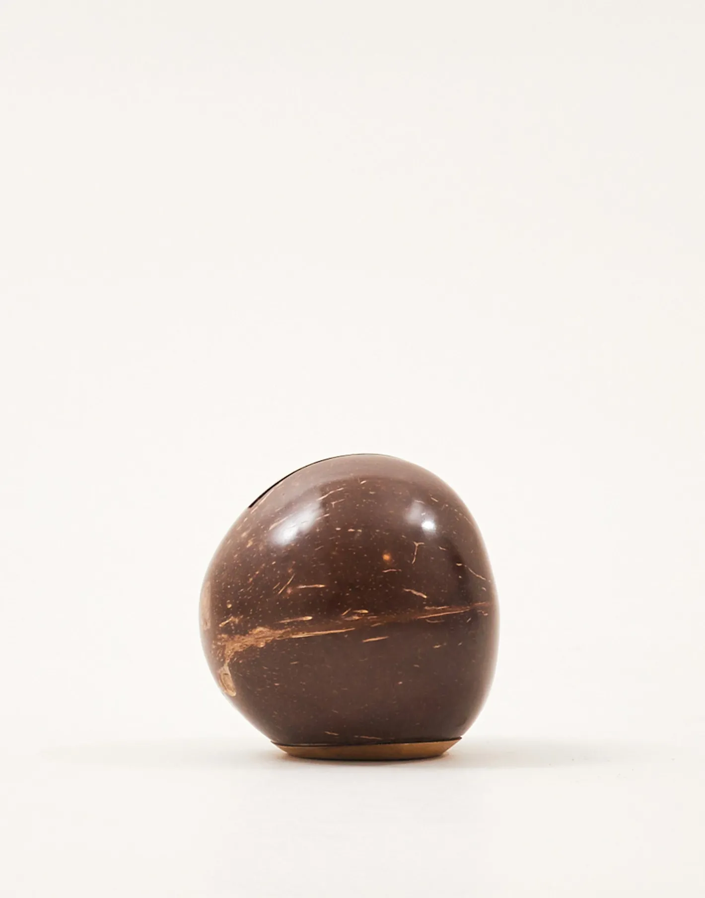 Natura Selection Electrónica Y Gadget|Decoración^Hucha Coco